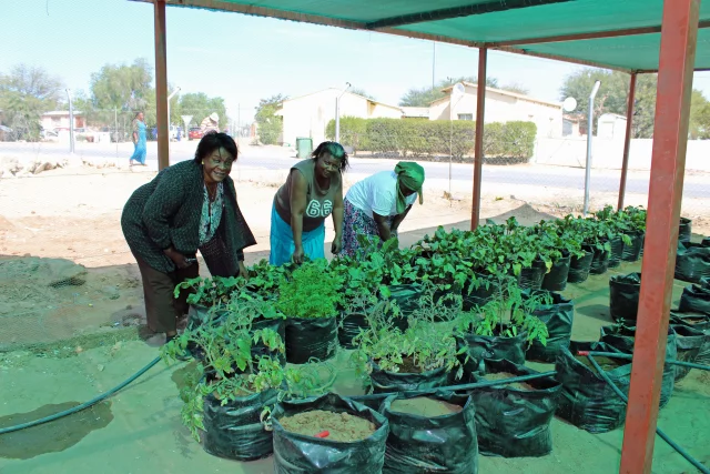 Garten in Namibia - Fleissige Gärtnerinnen