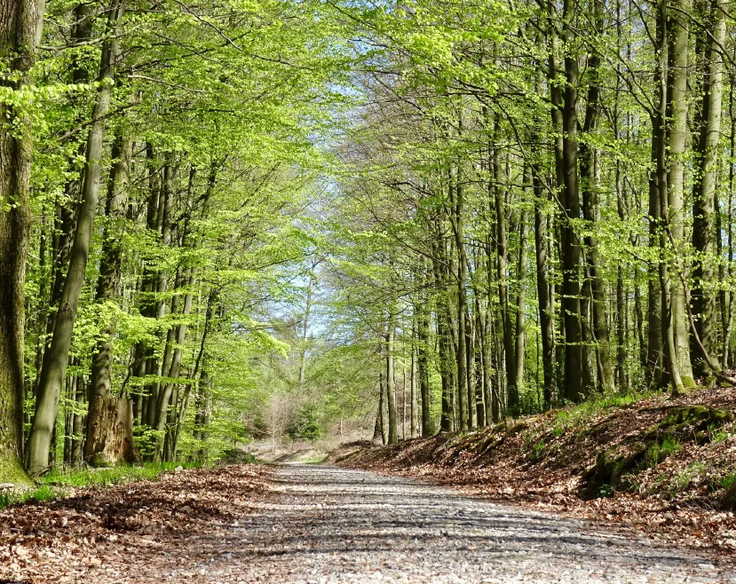 @Jürgen Haas 222230_@Jürgen Haas_Privat_Weg Iserlohn_2