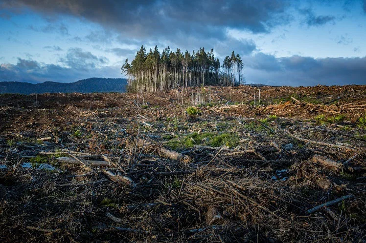 ©Matt_palmer_unsplash 232702 Klimawandel