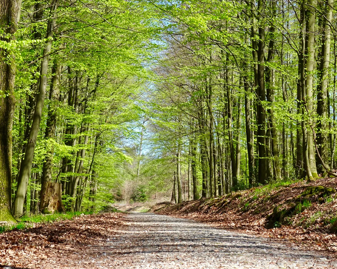 @Jürgen Haas_Privat 242215 Entscheidungen erwandern