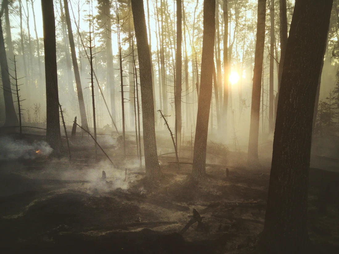 ©landon-parenteau_unsplash Antrago 274501