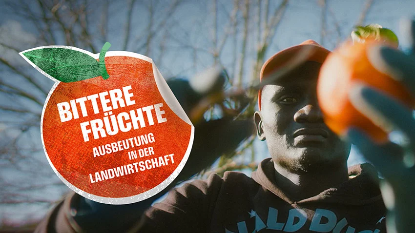 ©berlin producers 243613 Wanderarbeiterinnen