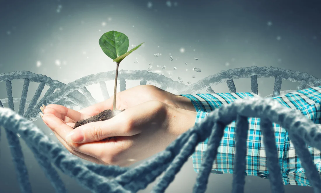 ©sergey_nivens_fotolia_117895512_m ©sergey_nivens_fotolia_117895512_m DNA Gen Natur Pflanze wachsen