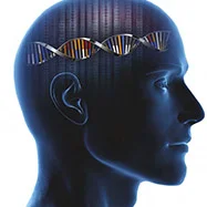 ©design/A-Digit_istockPhoto.com 243618 Next Generation_1