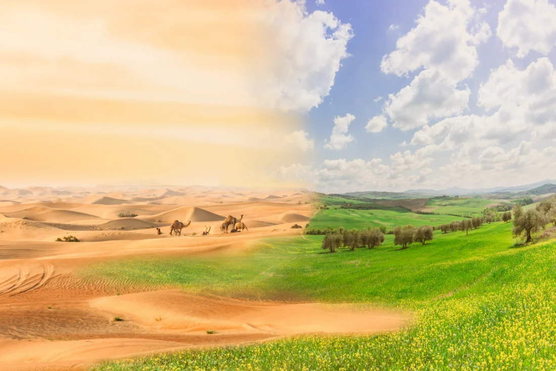 ®EurekA_89 Gervasio S AdobeStock_156616963 ®EurekA_89 Gervasio S AdobeStock_156616963 Wüste Klimawandel Umwelt Schutz Landwirtschaft