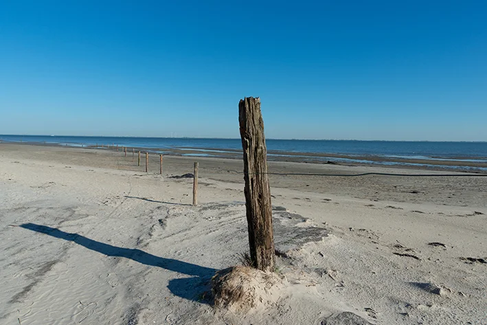 ©hkama_AdobeStock 232228 Wattenmeer